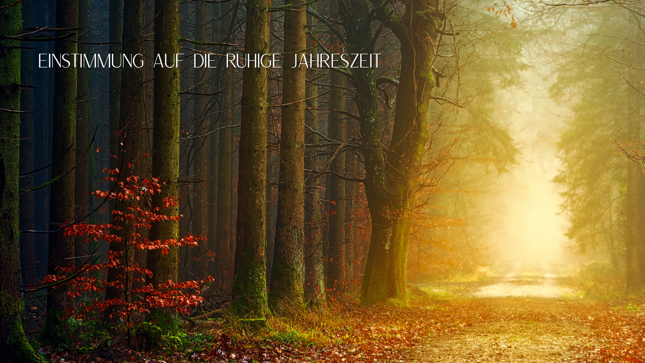 ruhige_Jahreszeit