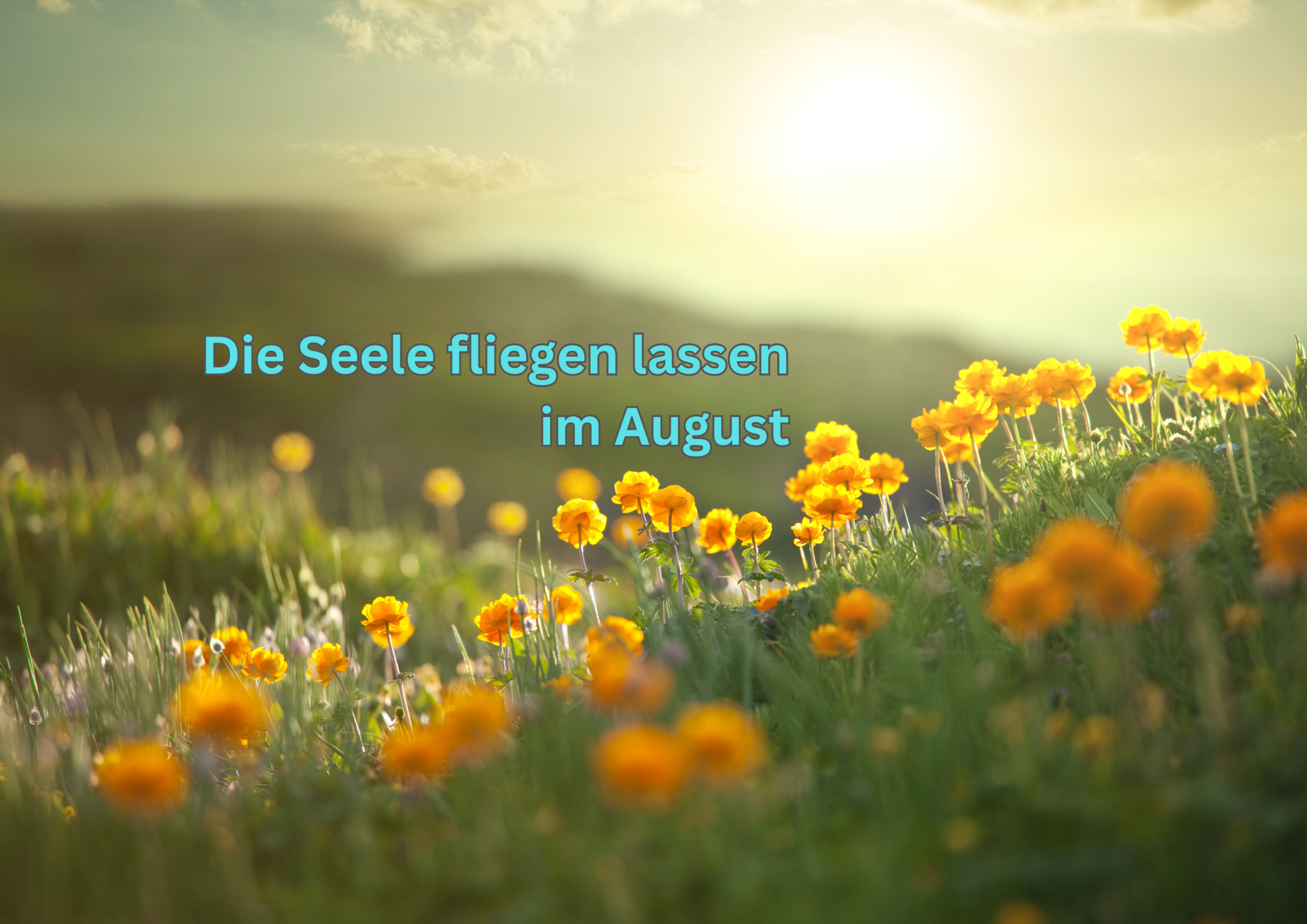 Die Seele fliegen lassen im August