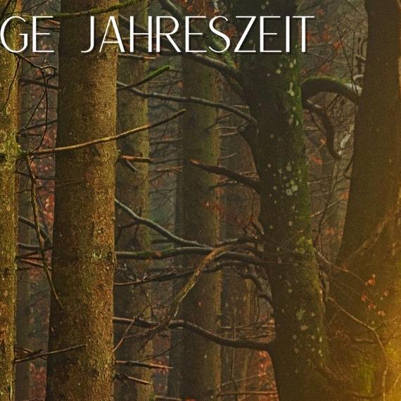 Geschichten, Gedichte, Musik & Meditation im ev. Gemeindehaus, Bad Staffelstein