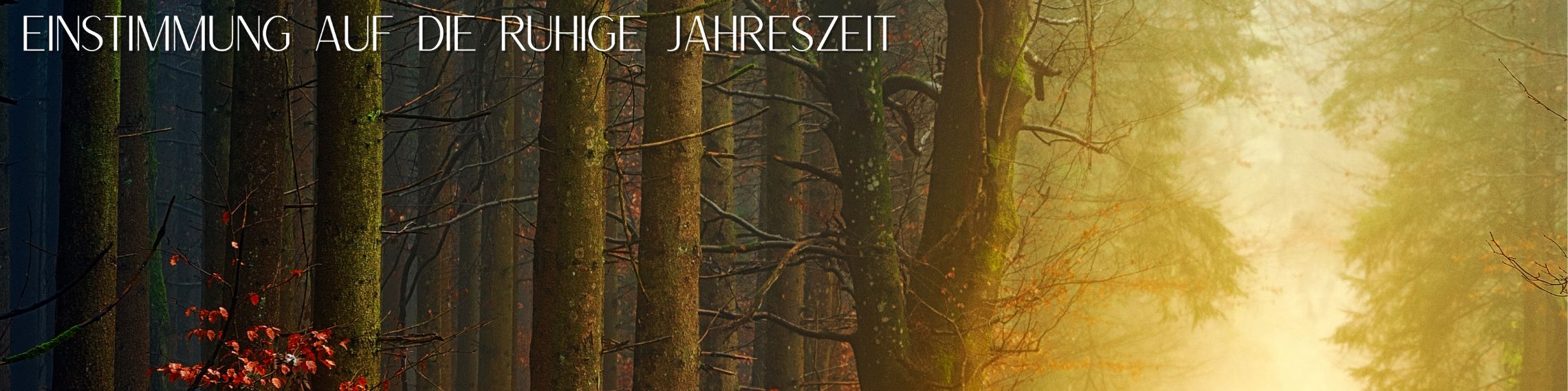 Geschichten, Gedichte, Musik & Meditation im ev. Gemeindehaus, Bad Staffelstein