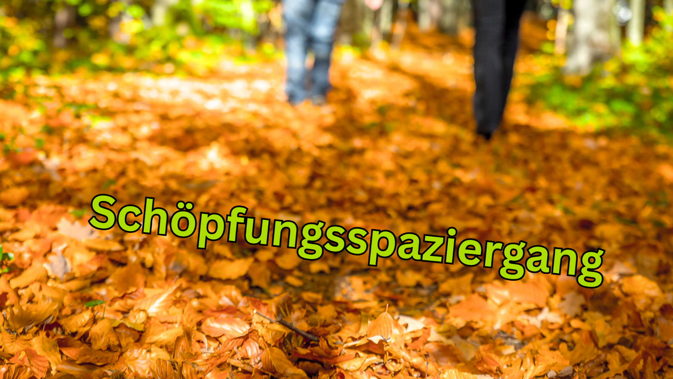 Schöpfungsspaziergang