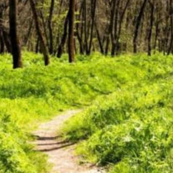 meditativer Stationenweg mit Zeit zum Reden, Singen, Lauschen, Schauen und Staunen