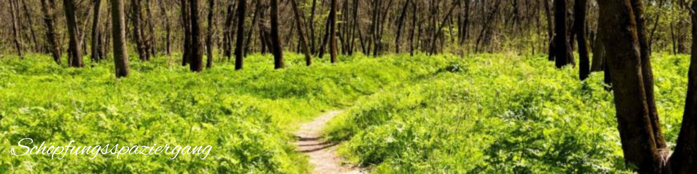 meditativer Stationenweg mit Zeit zum Reden, Singen, Lauschen, Schauen und Staunen