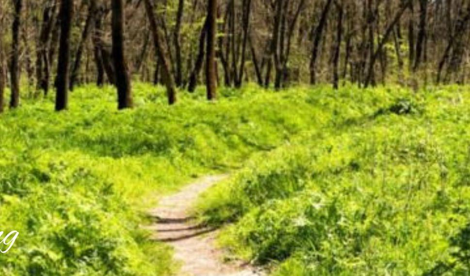 meditativer Stationenweg mit Zeit zum Reden, Singen, Lauschen, Schauen und Staunen