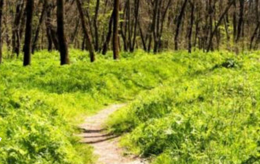 meditativer Stationenweg mit Zeit zum Reden, Singen, Lauschen, Schauen und Staunen