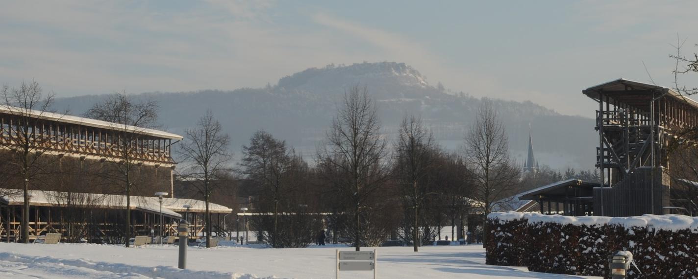 Die Gradierwerke des Kurparks im Winter