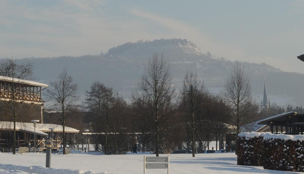 Die Gradierwerke des Kurparks im Winter