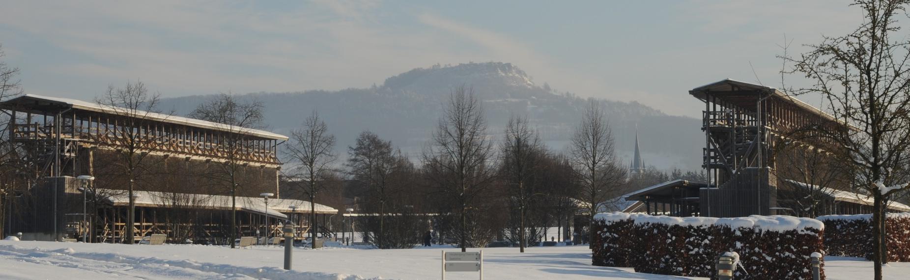 Die Gradierwerke des Kurparks im Winter